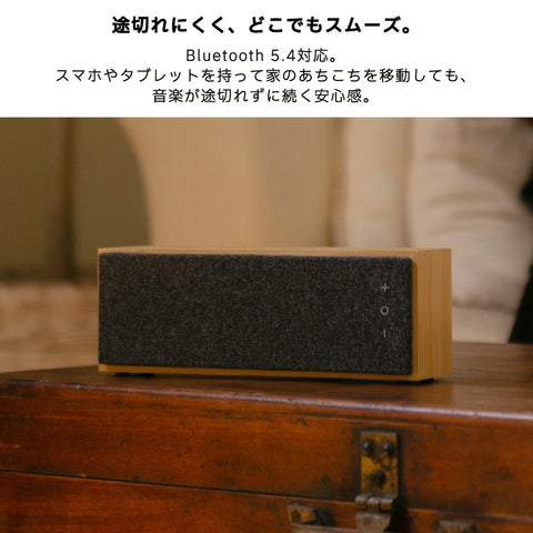 Bamboo Speaker Brick