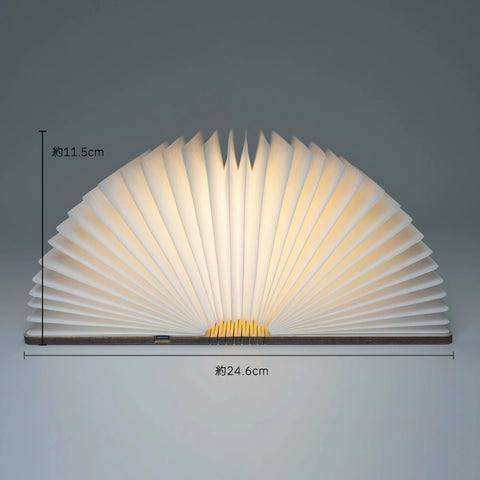 book lamp